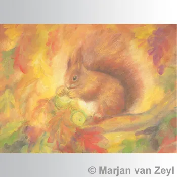 Marjan van Zeyl atvirukai - Voverė