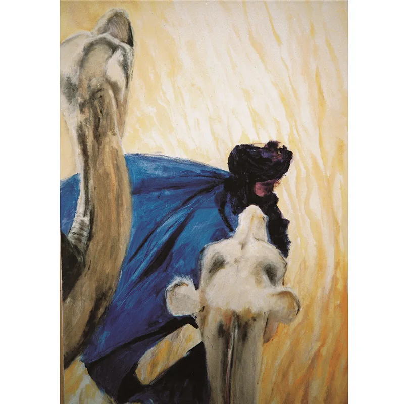 Marjan van Zeyl atvirukai - Tuaregas su kupranugariu