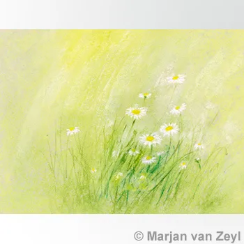 Marjan van Zeyl atvirukai - Ramunės