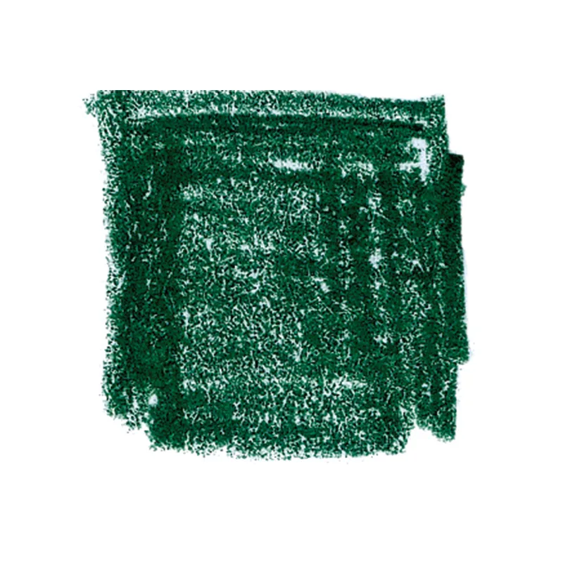 Lyra värvipliiatsid Rembrandt Polycolour, 12 tk karbis - Hookeri roheline