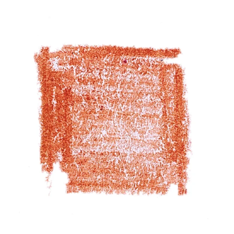 Lyra Rembrandt Aquarelle pliiatsid, 12 tk karp – hele ihuvärv