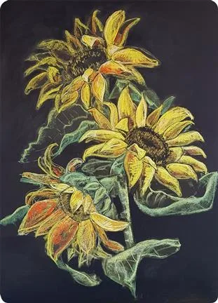 Postcards Kapitein Kalk - Sunflower