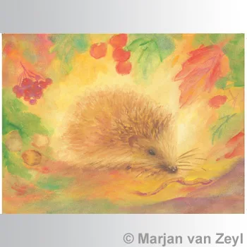 Marjan van Zeyl atvirukai - Ežys