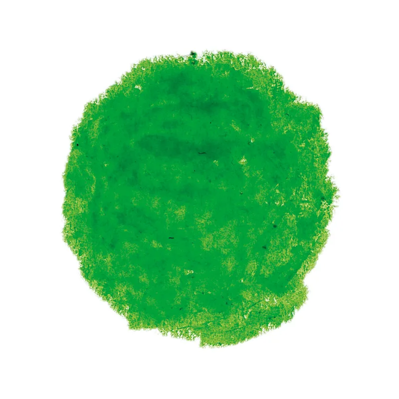 Stockmar Wax Stick Crayons - Yellow Green