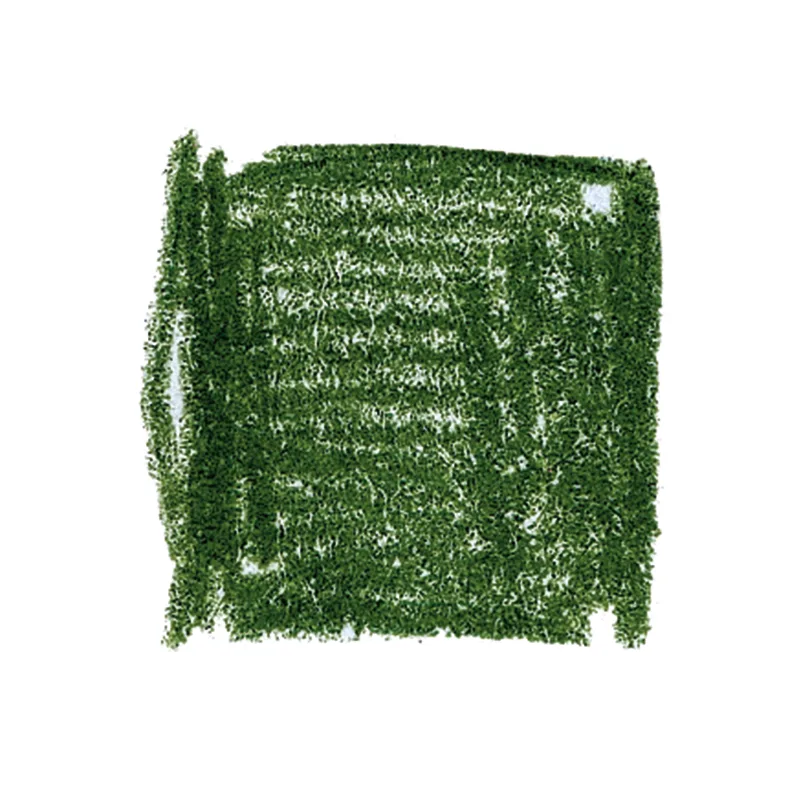 Lyra Rembrandt Polycolour pliiatsid, 12 tk karp – seedriroheline
