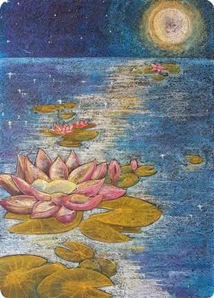 Chalkboard Art Poster - Water Lily
