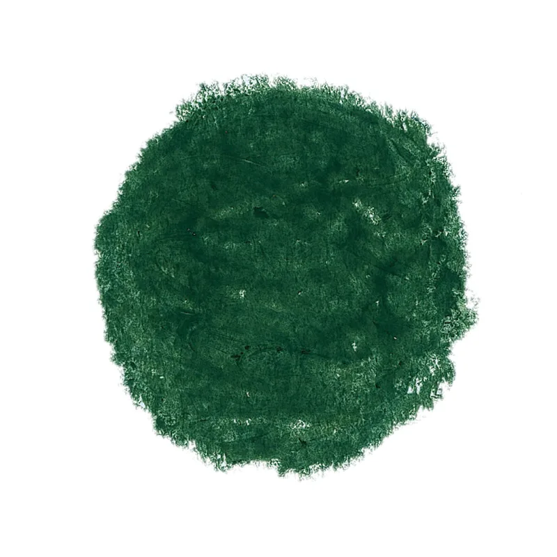 Stockmar Wax Stick Crayons - Leaf Green