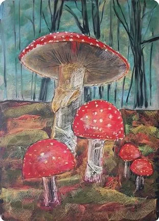 Chalkboard Art Poster - Fly Agaric