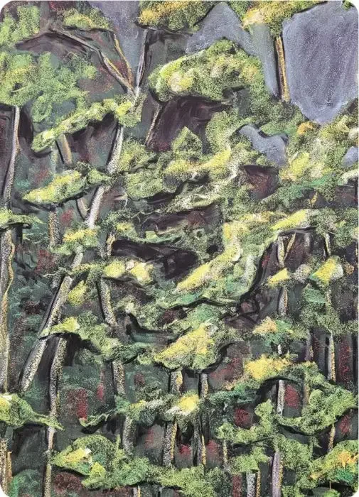 Postcards Kapitein Kalk - Woodland