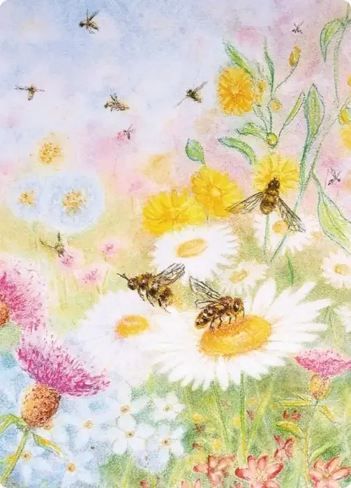 Chalkboard Art Poster - Bee Pasture