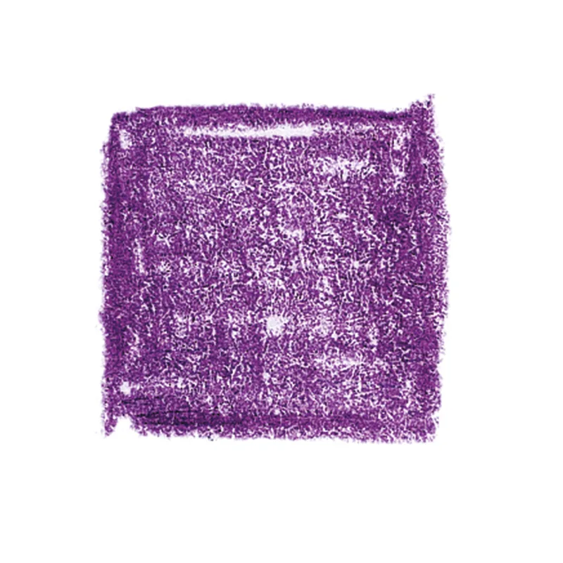 Lyra värvipliiatsid Rembrandt Polycolour, 12 tk karbis - Magenta