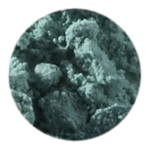 Artemis Plant Pigment Powder 50 ml - Leaf Green