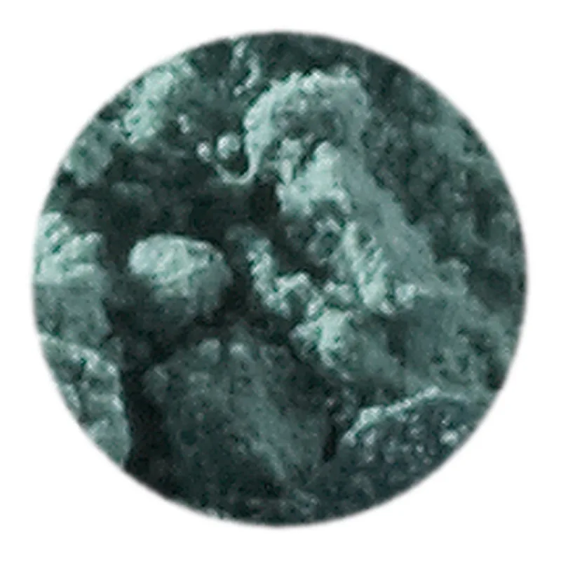 Artemis Plant Pigment Powder 10 ml - Leaf Green