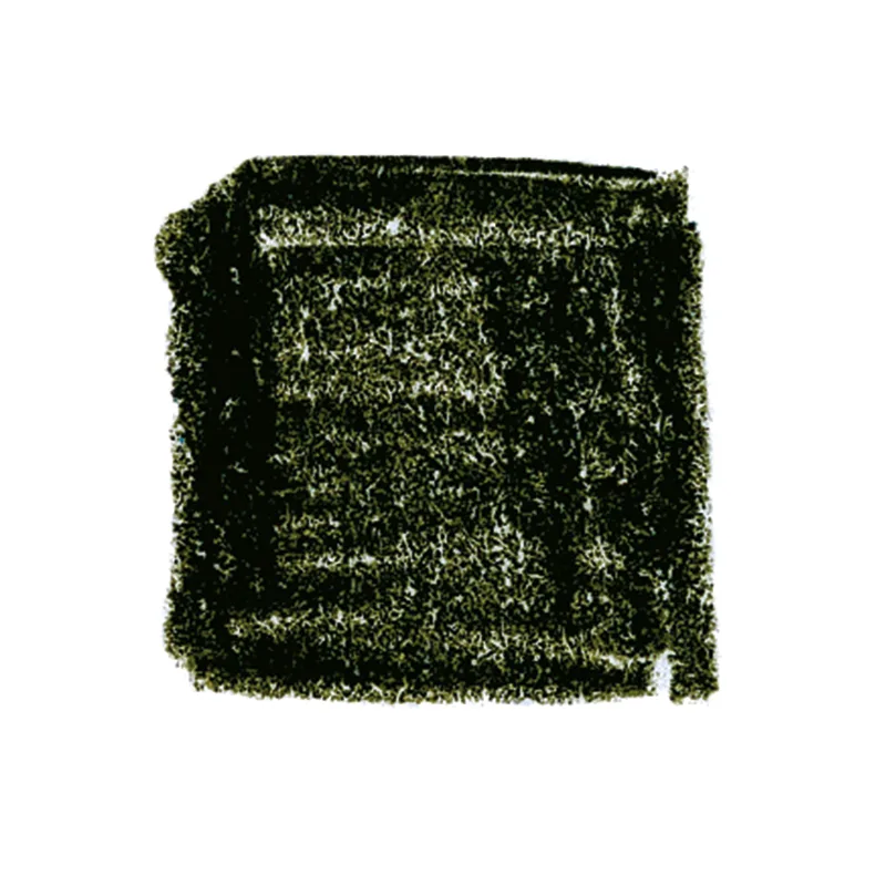 Lyra värvipliiatsid Rembrandt Polycolour, 12 tk karbis - Oliivroheline