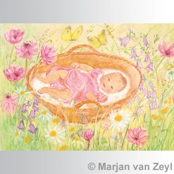 Marjan van Zeyl atvirukai - Kūdikis krepšyje