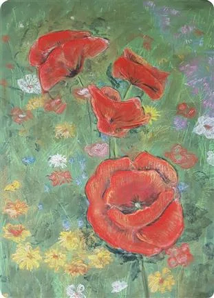 Postcards Kapitein Kalk - Poppies