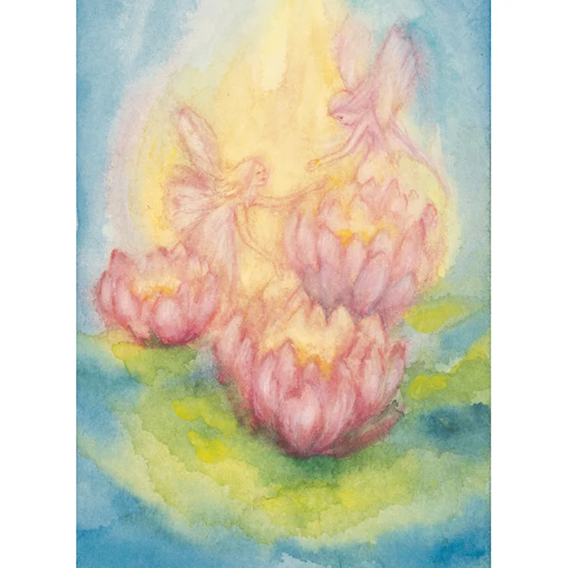 Marjan van Zeyl atvirukai - Nymphaea