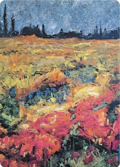 Postcards Kapitein Kalk - Meadow