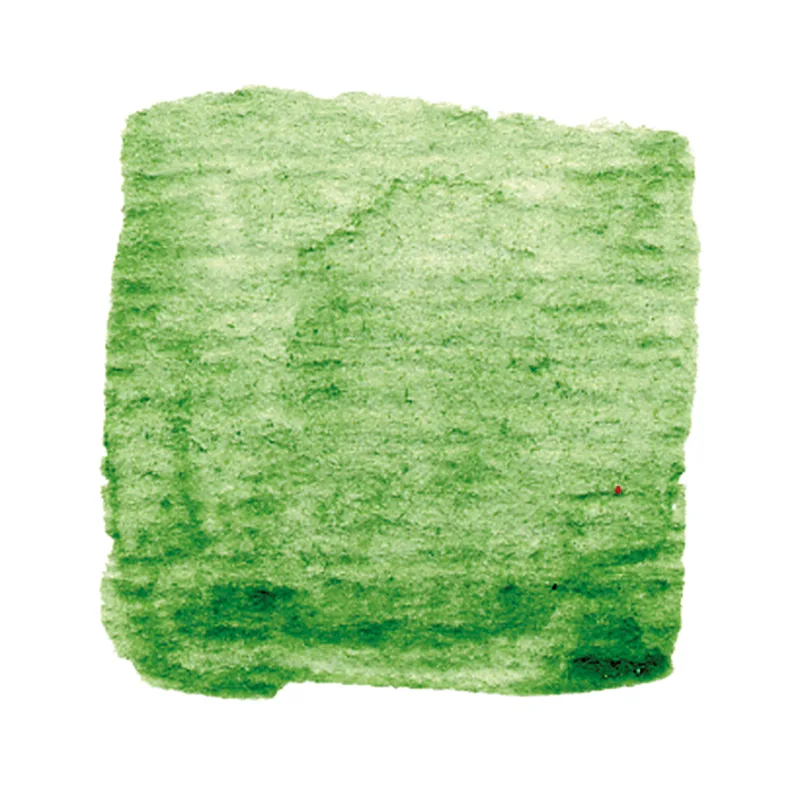 Artemis Plant Pigment Paste 50 ml - Leaf Green
