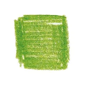 Lyra Rembrandt Polycolour pliiatsid, 12 tk karp – õunaroheline