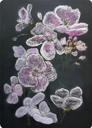 Postcards Kapitein Kalk - Cuckoo Flower
