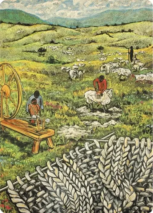 Postcards Kapitein Kalk - From Sheep to Knitting