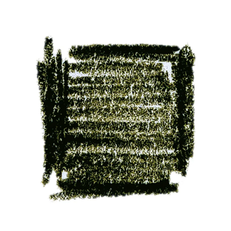 Lyra Rembrandt Aquarelle pliiatsid, 12 tk karp – oliiviroheline