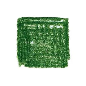 Lyra värvipliiatsid Rembrandt Polycolour, 12 tk karbis - Sammalroheline
