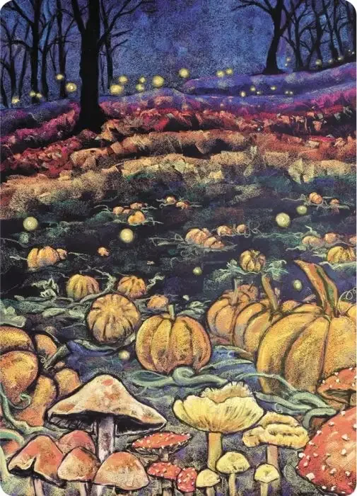 Postcards Kapitein Kalk - Pumpkin Patch